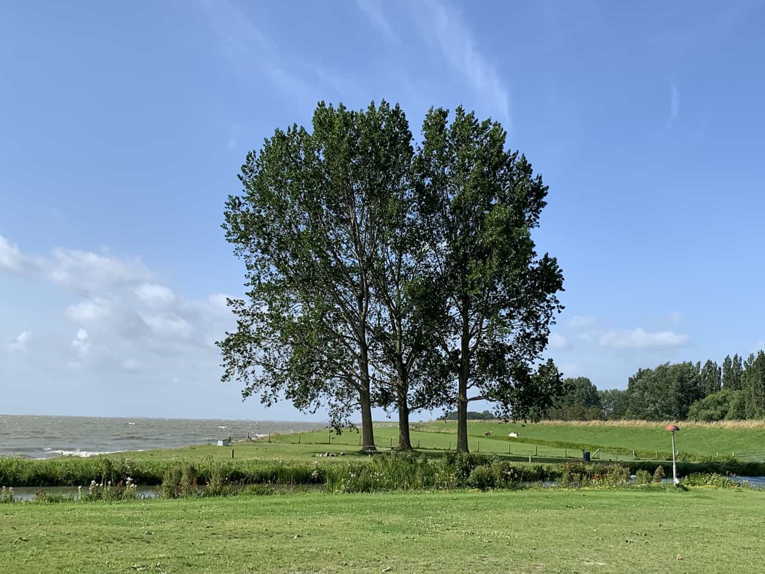 Zo verloopt het herstel van een burnout